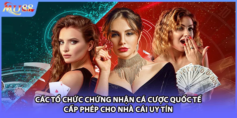 Các tổ chức chứng nhận cá cược quốc tế cấp phép cho nhà cái uy tín